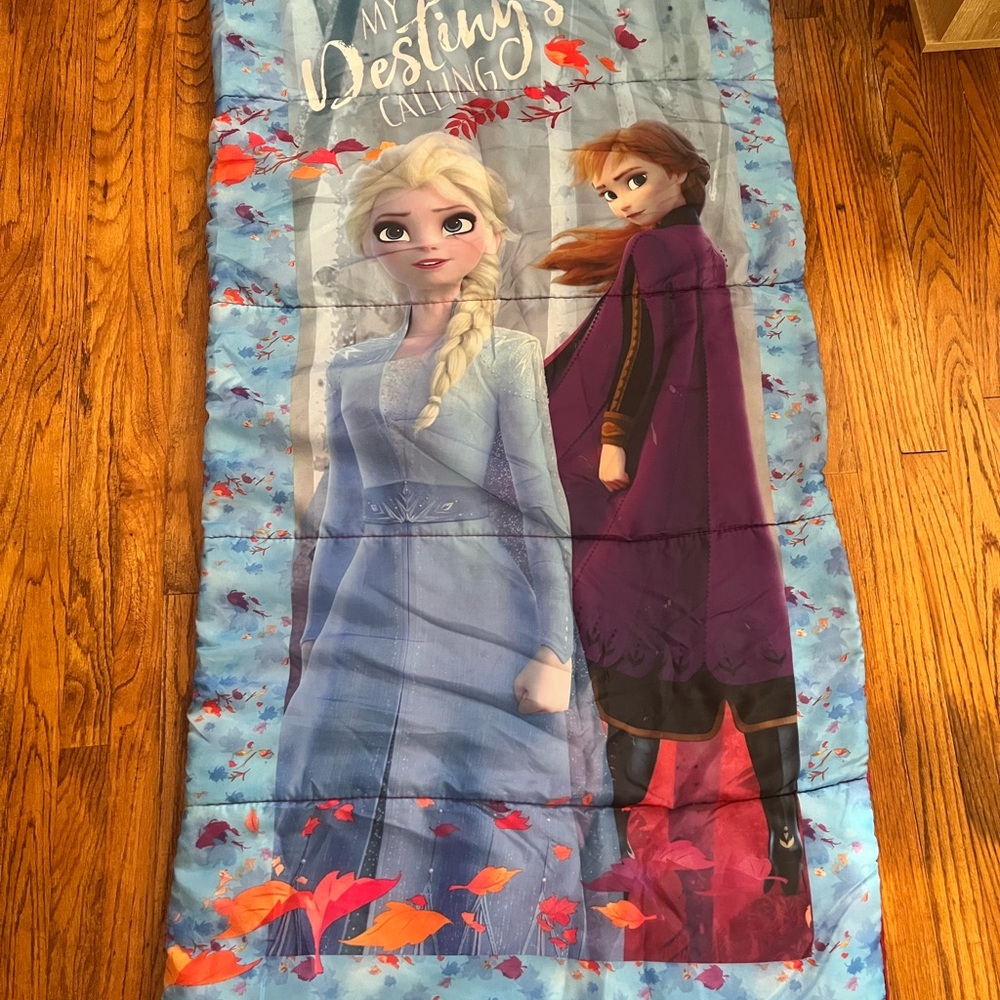Disney Frozen Sleeping Bag with Blue and Purple Design